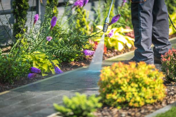 Santa Rosa Valley, CA Pressure Washing Services Company